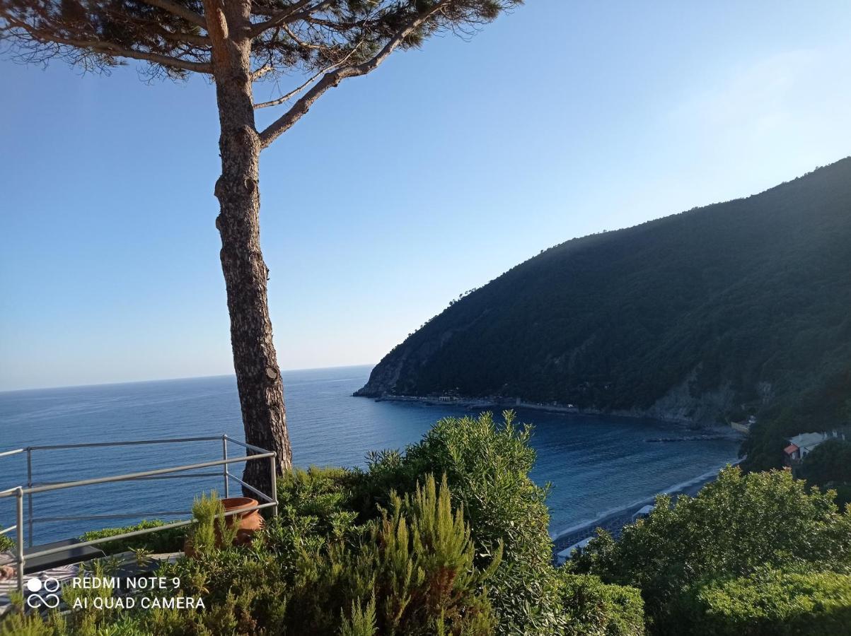 Casafischea19 Apartment Moneglia Bagian luar foto