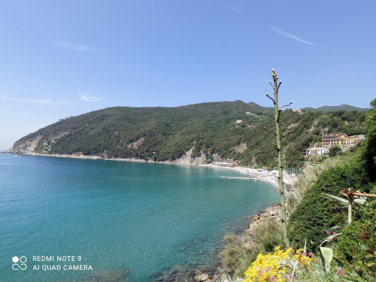 Casafischea19 Apartment Moneglia Bagian luar foto